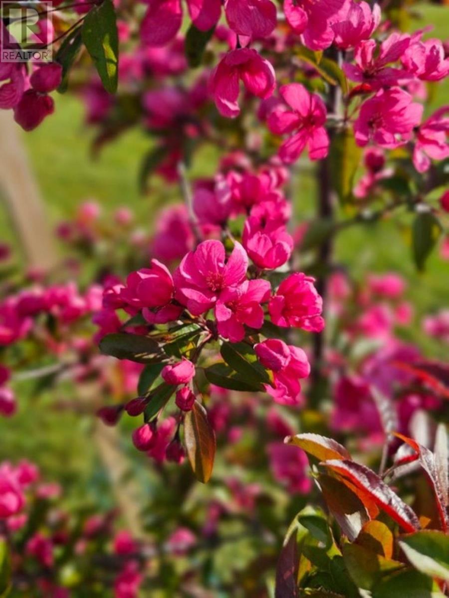 Lot 11 Heritage  River Road, Mermaid, Prince Edward Island  C1B 0Y6 - Photo 16 - 202605727