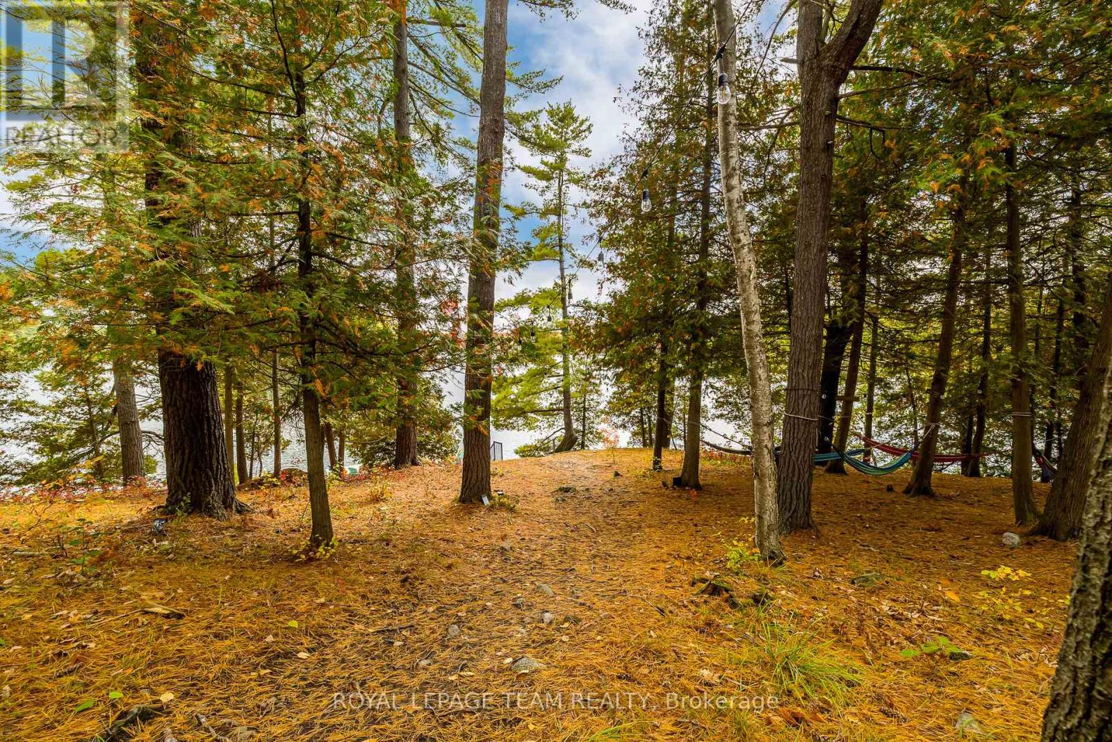 998 Pike Lake Rte 16 Road, Tay Valley, Ontario  K7H 3C5 - Photo 36 - X13018762