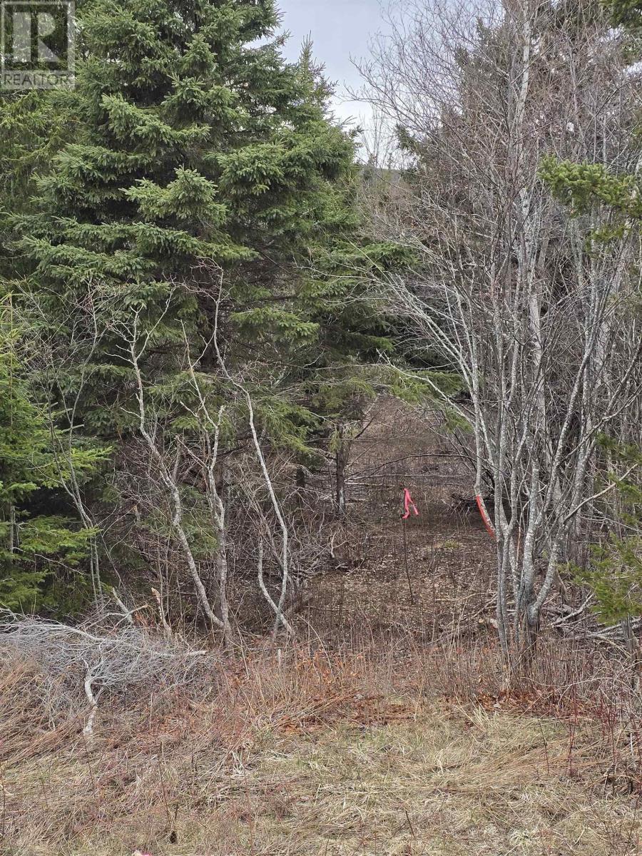 25-1 Middle River Road, Rocklin, Nova Scotia  B0K 2A0 - Photo 1 - 202607949