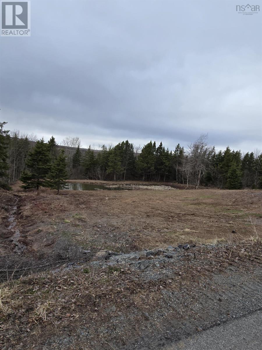 25-1 Middle River Road, Rocklin, Nova Scotia  B0K 2A0 - Photo 2 - 202607949