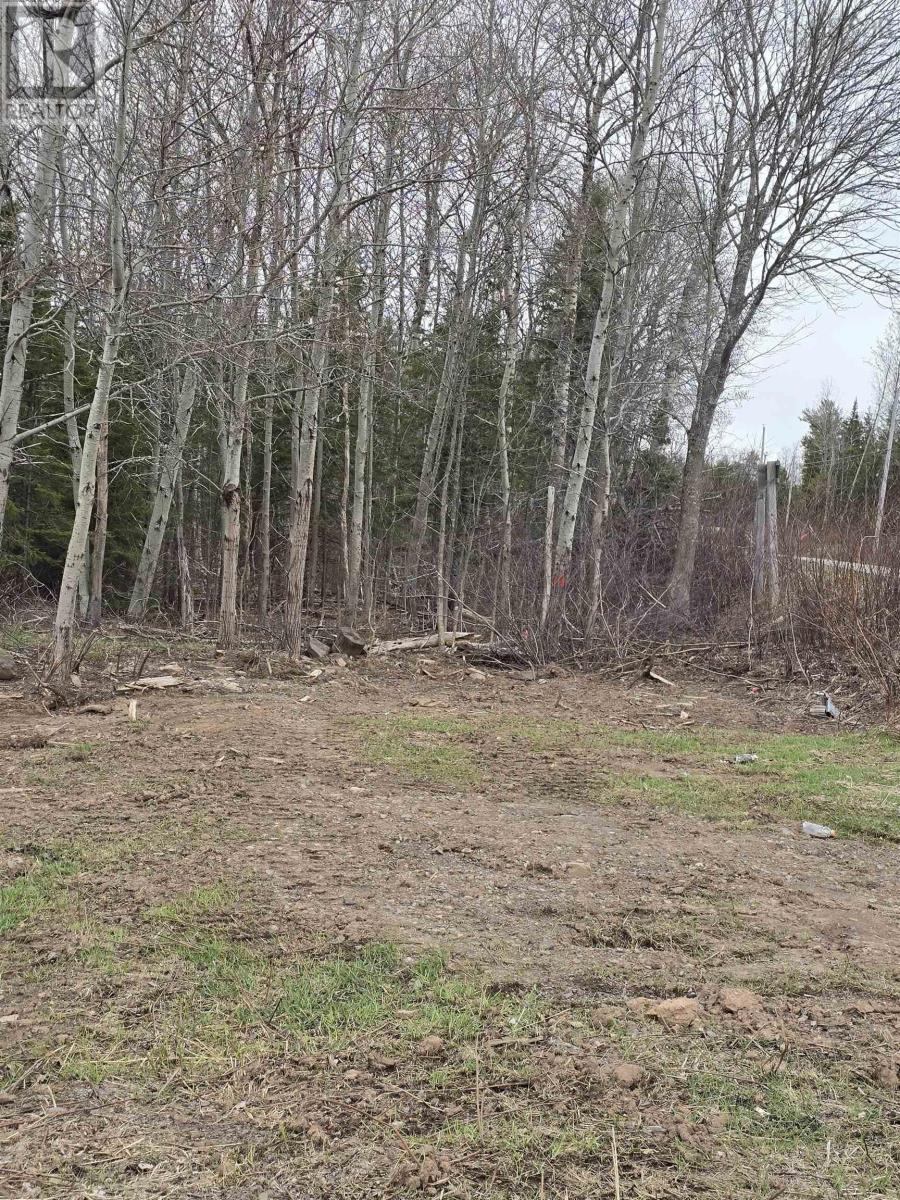 25-2 Middle River Road, Rocklin, Nova Scotia  B0K 2A0 - Photo 4 - 202607954