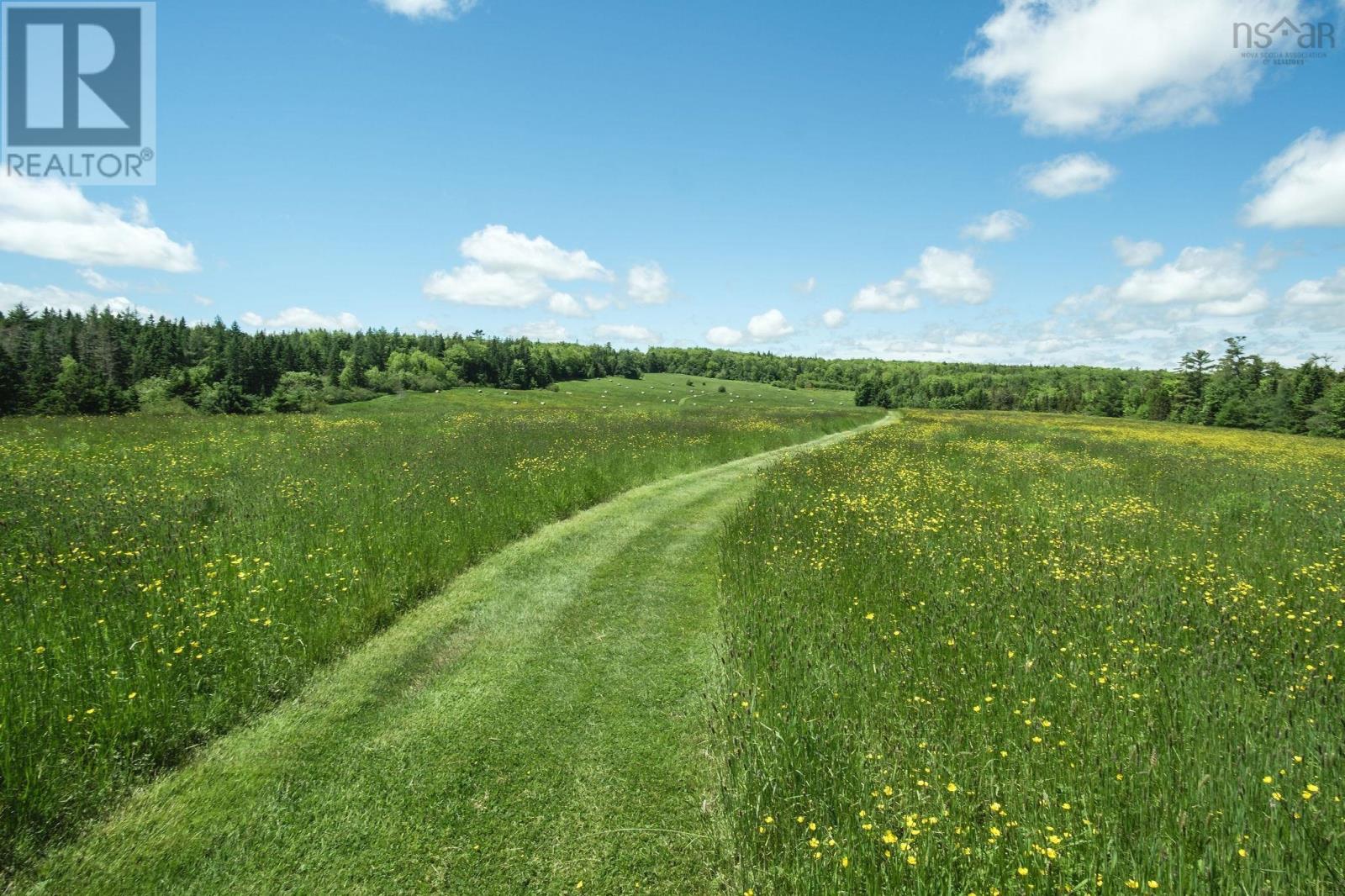 10353 Marble Mountain Road, Orangedale, Nova Scotia  B0E 2K0 - Photo 44 - 202527288