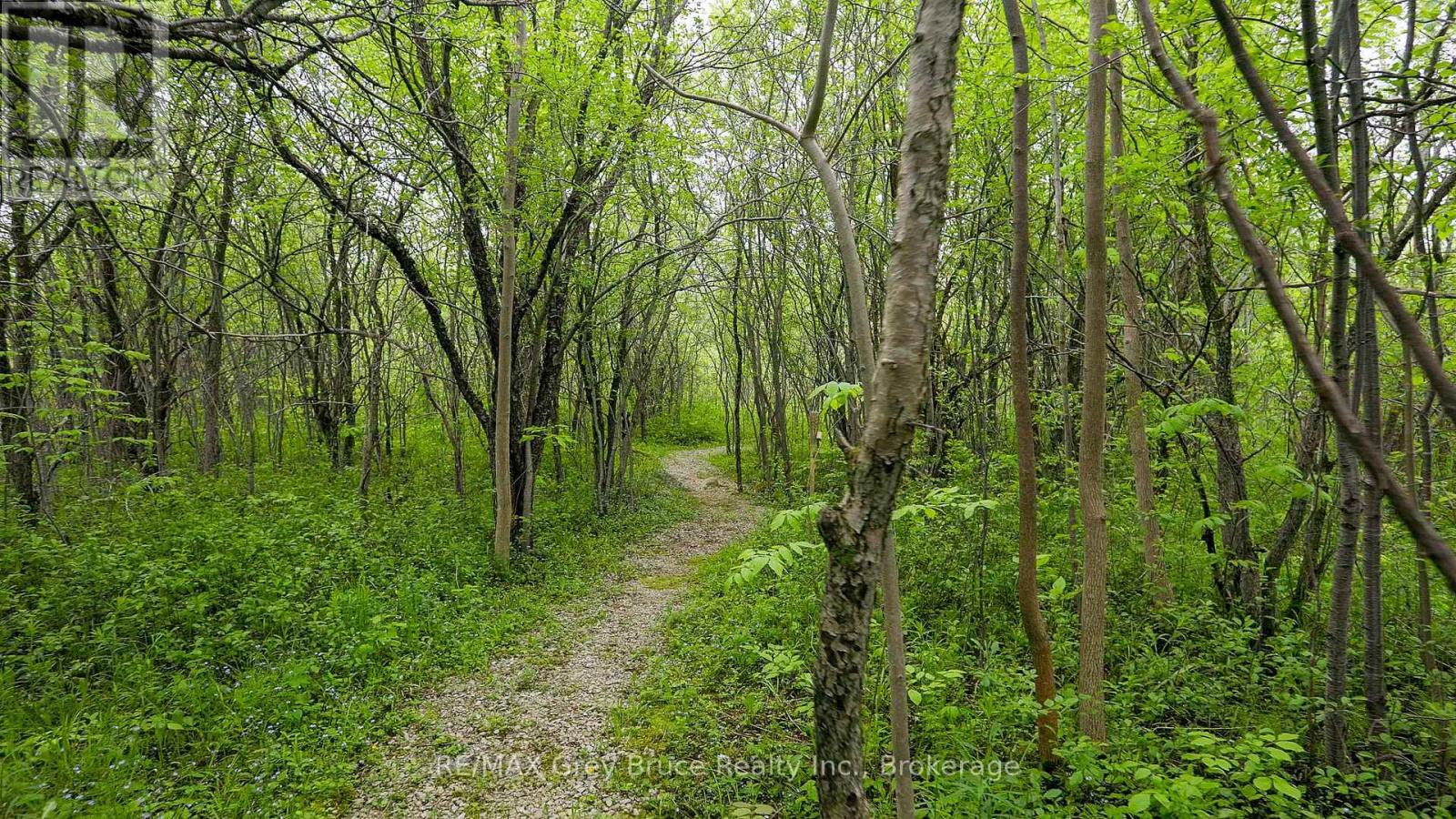 350293 A Concession, Meaford, Ontario  N0H 1B0 - Photo 42 - X13009860