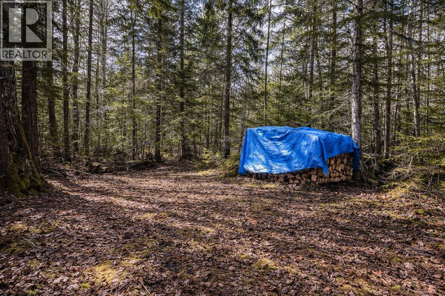 Lot 1 S Canim Lake Road, Canim Lake, British Columbia  V0K 1J0 - Photo 3 - R3113207