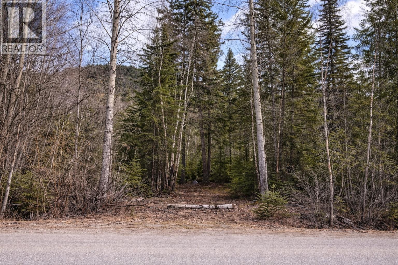 Lot 1 S Canim Lake Road, Canim Lake, British Columbia  V0K 1J0 - Photo 4 - R3113207