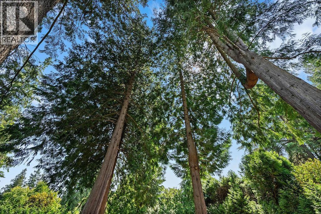 2976 Palmerston Avenue, West Vancouver, British Columbia  V7V 2X3 - Photo 19 - R3113181