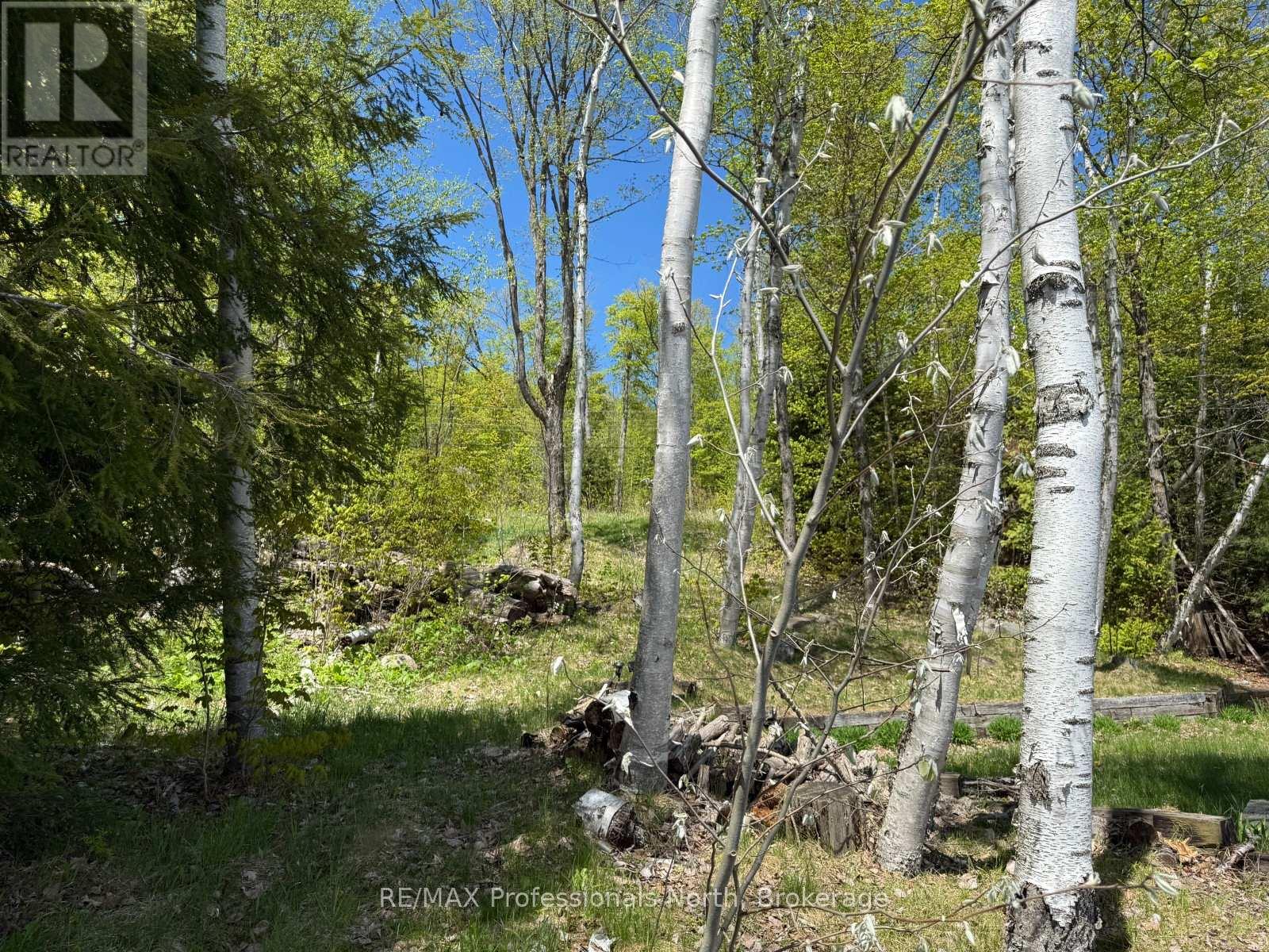 2612 Wilkinson Road, Dysart Et Al, Ontario  K0M 1S0 - Photo 11 - X13019142