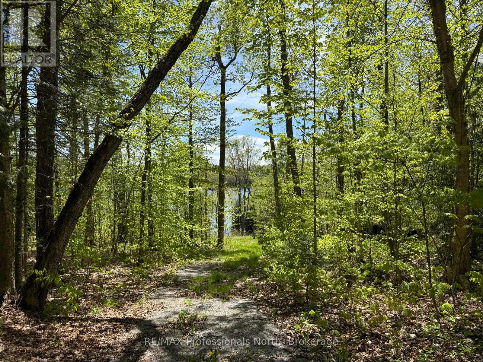 2612 Wilkinson Road, Dysart Et Al, Ontario  K0M 1S0 - Photo 2 - X13019142