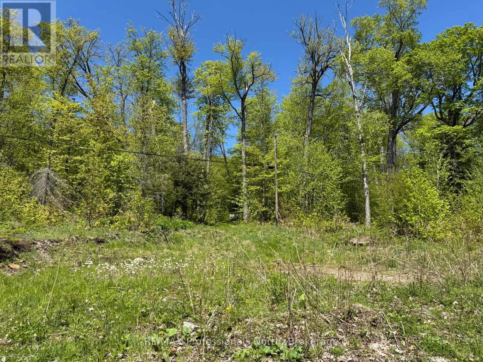 2612 Wilkinson Road, Dysart Et Al, Ontario  K0M 1S0 - Photo 4 - X13019142