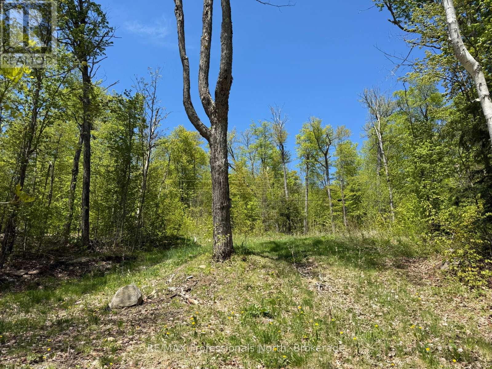 2612 Wilkinson Road, Dysart Et Al, Ontario  K0M 1S0 - Photo 6 - X13019142