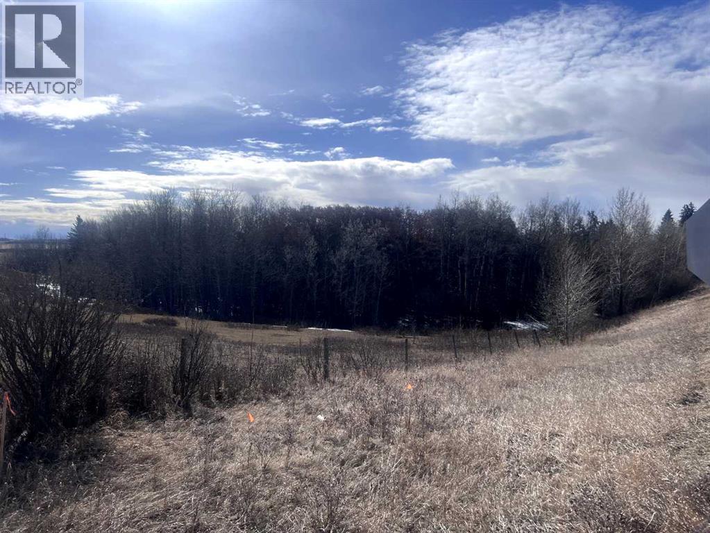 40527 Range Road 263, Rural Lacombe County, Alberta  T0C 0Y0 - Photo 3 - A2302923