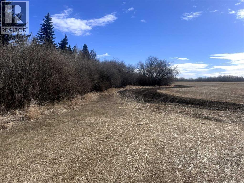 40527 Range Road 263, Rural Lacombe County, Alberta  T0C 0Y0 - Photo 11 - A2302923