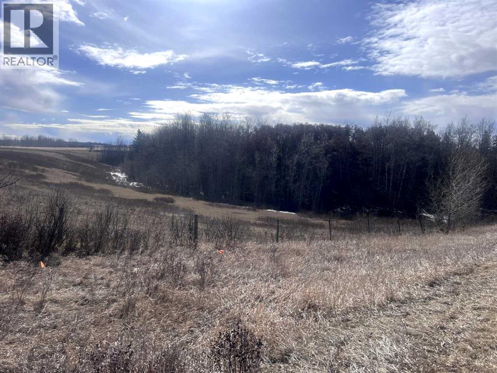 40527 Range Road 263, Rural Lacombe County, Alberta  T0C 0Y0 - Photo 4 - A2302923