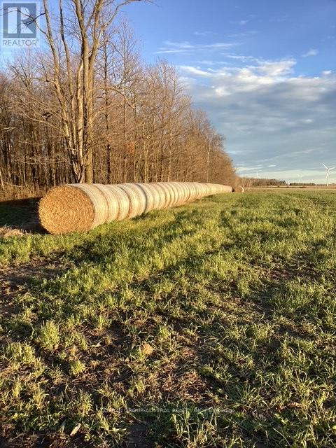 0 Concession 7, Melancthon, Ontario  N0C 1B0 - Photo 6 - X12992106