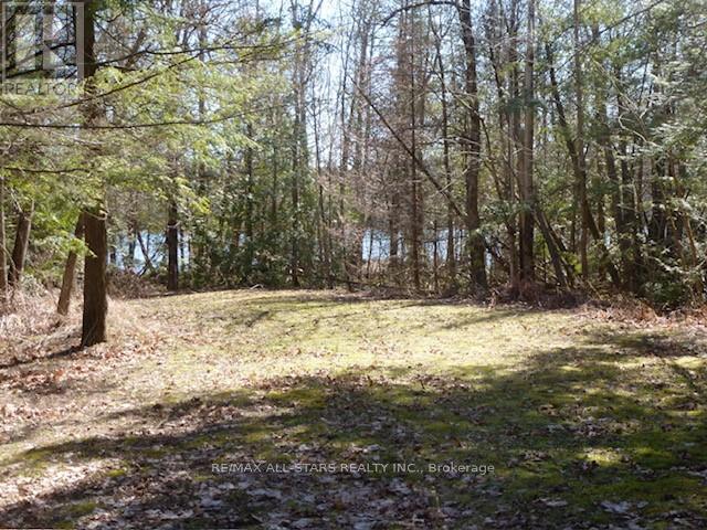 789 Foster Drive, Uxbridge, Ontario  L9P 1R2 - Photo 7 - N13019060