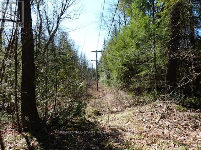 789 Foster Drive, Uxbridge, Ontario  L9P 1R2 - Photo 8 - N13019060