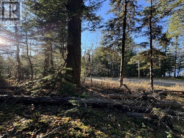 22060 Cottage Crescent, Prince George, British Columbia  V2N 6H5 - Photo 4 - R3111568