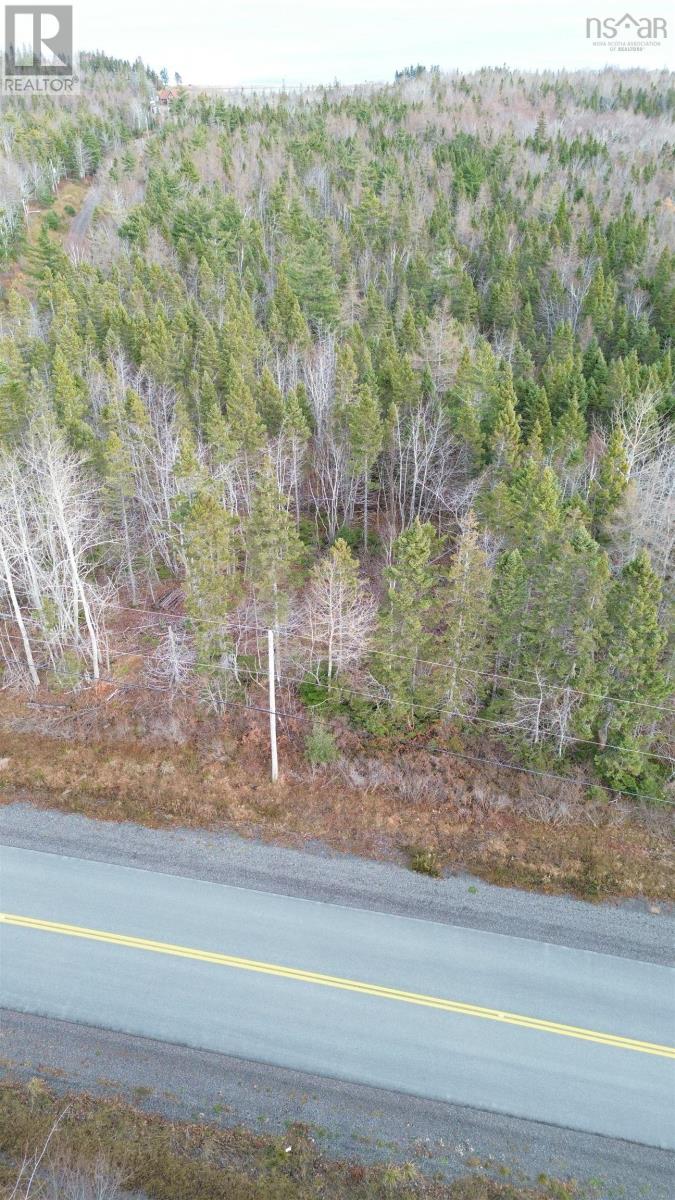 Lot 9 West Bay Highway, Roberta, Nova Scotia  B0E 3B0 - Photo 3 - 202527026