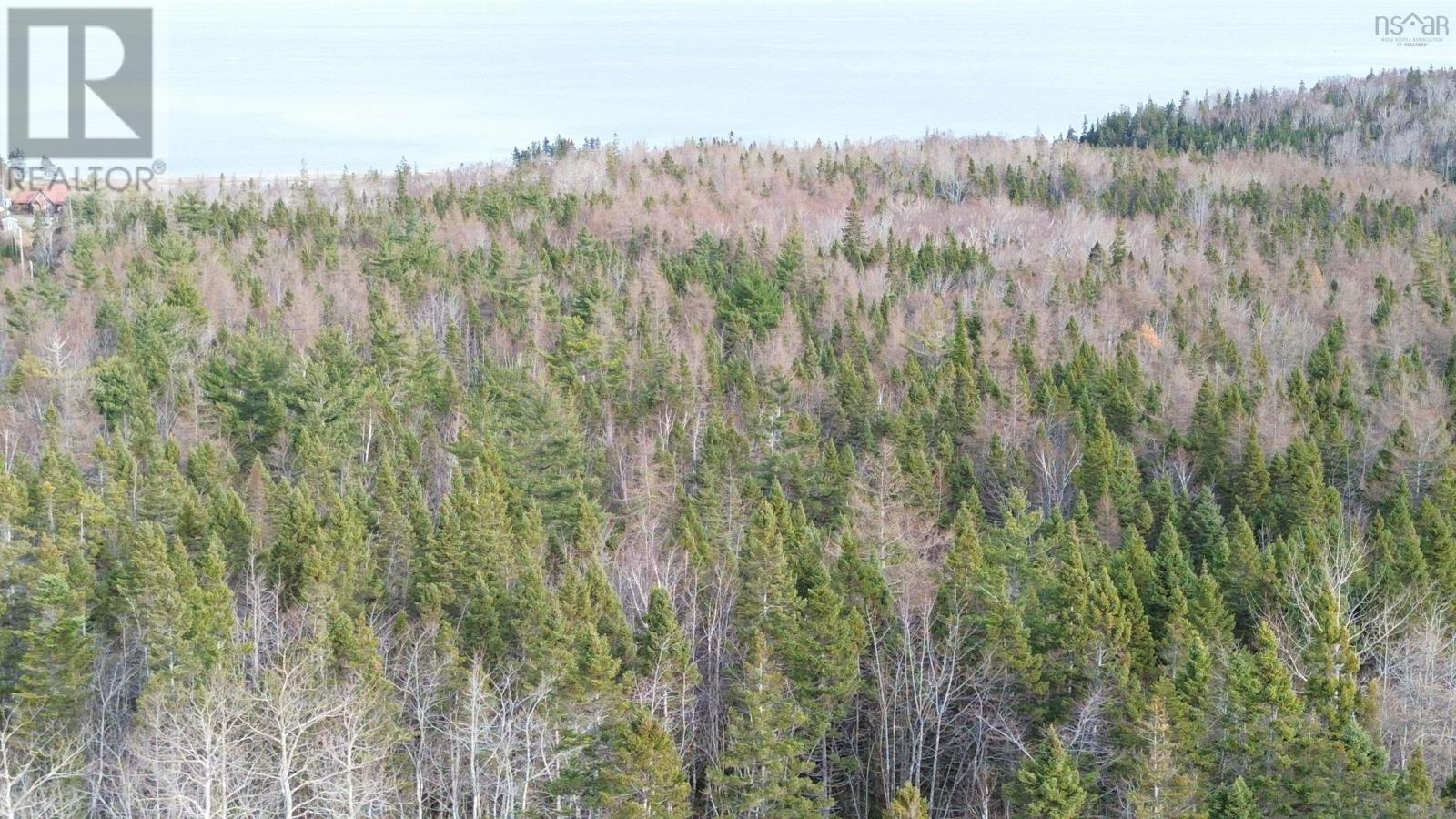 Lot 9 West Bay Highway, Roberta, Nova Scotia  B0E 3B0 - Photo 9 - 202527026