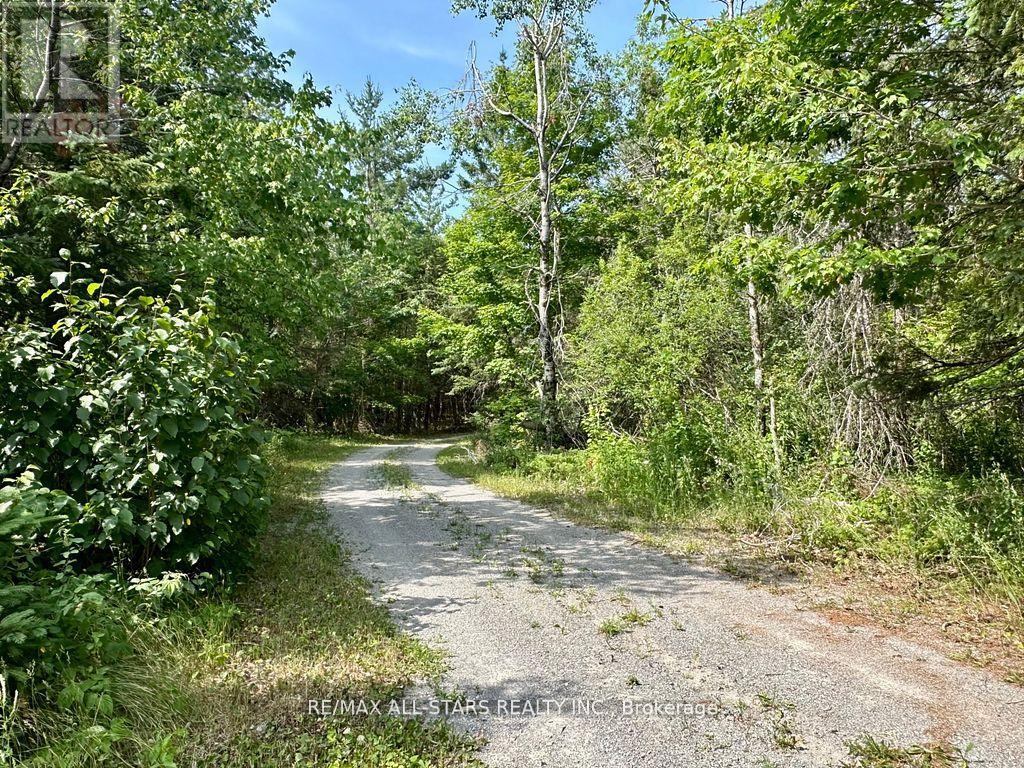 380 Ledge Road, Trent Lakes, Ontario  K0M 1A0 - Photo 47 - X13019316