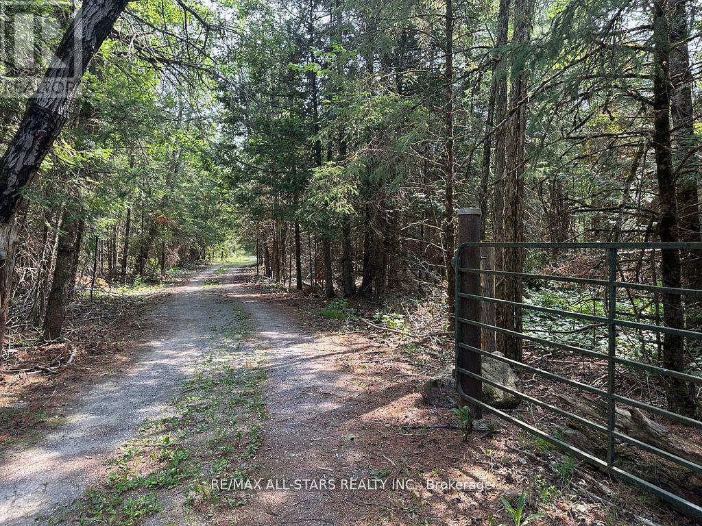 380 Ledge Road, Trent Lakes, Ontario  K0M 1A0 - Photo 5 - X13019316