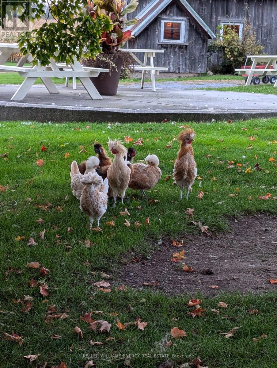 66 Gilead Road, R.r. #2 Road, Prince Edward County, Ontario  K0K 1G0 - Photo 43 - X13019368