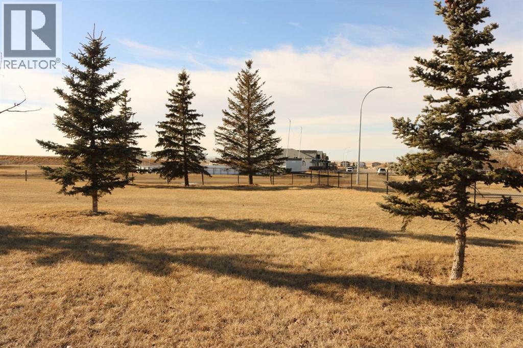 447 Henricks Drive, Irricana, Alberta  T0M 1B0 - Photo 30 - A2287250