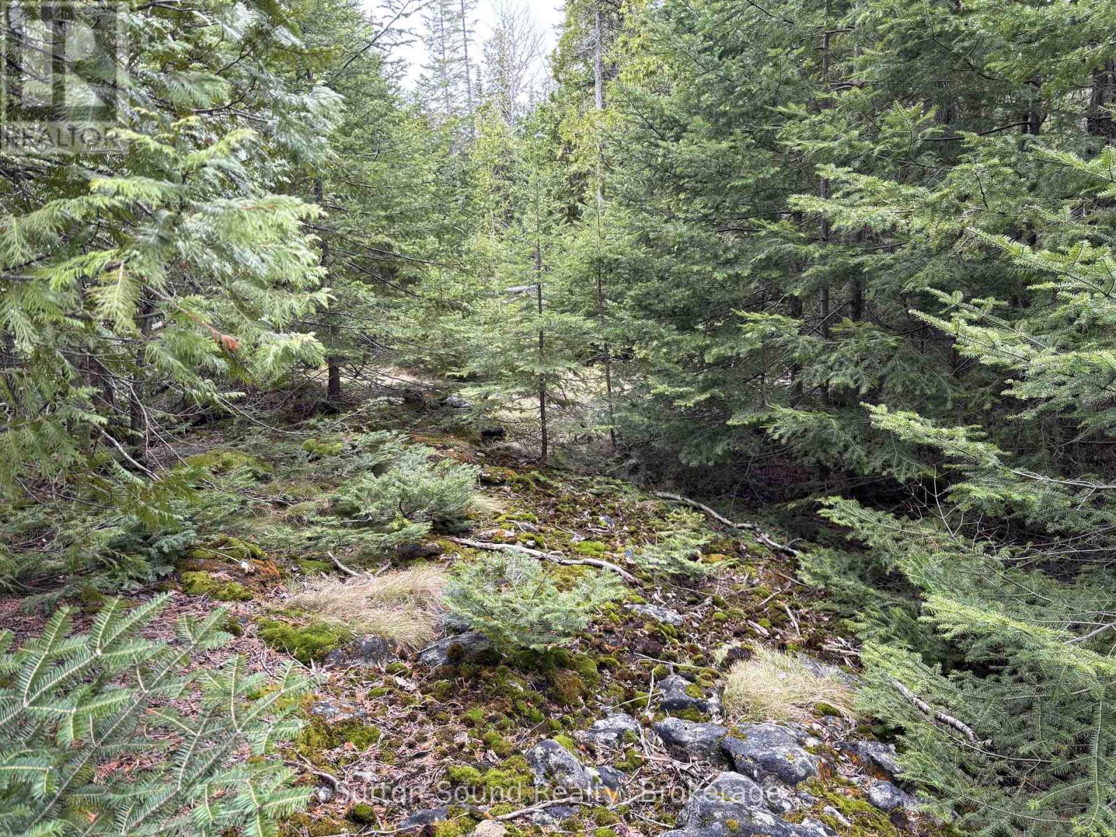 Pt Lt35 Con 3 Wbr Pt 77 Concession, Northern Bruce Peninsula, Ontario  N0H 1W0 - Photo 11 - X13019452