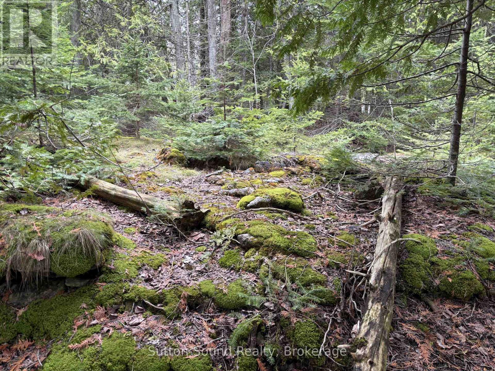 Pt Lt35 Con 3 Wbr Pt 77 Concession, Northern Bruce Peninsula, Ontario  N0H 1W0 - Photo 8 - X13019452