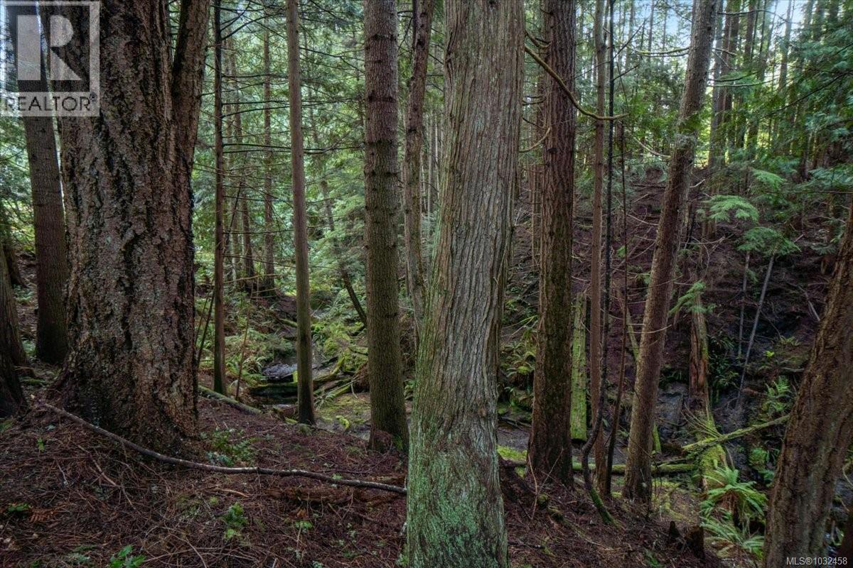 324 Chester Rd, Qualicum Beach, British Columbia  V9K 1B9 - Photo 29 - 1032458