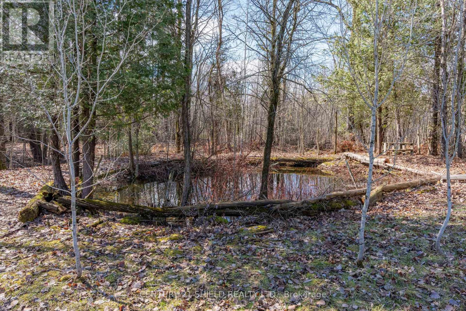 18100 Kenyon Concession Rd 1 Road, North Glengarry, Ontario  K0C 1B0 - Photo 8 - X13019254