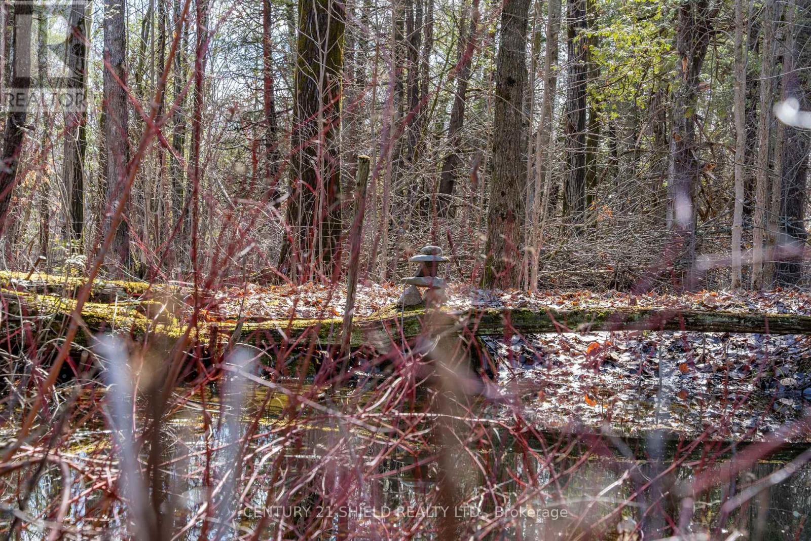 18100 Kenyon Concession Rd 1 Road, North Glengarry, Ontario  K0C 1B0 - Photo 9 - X13019254