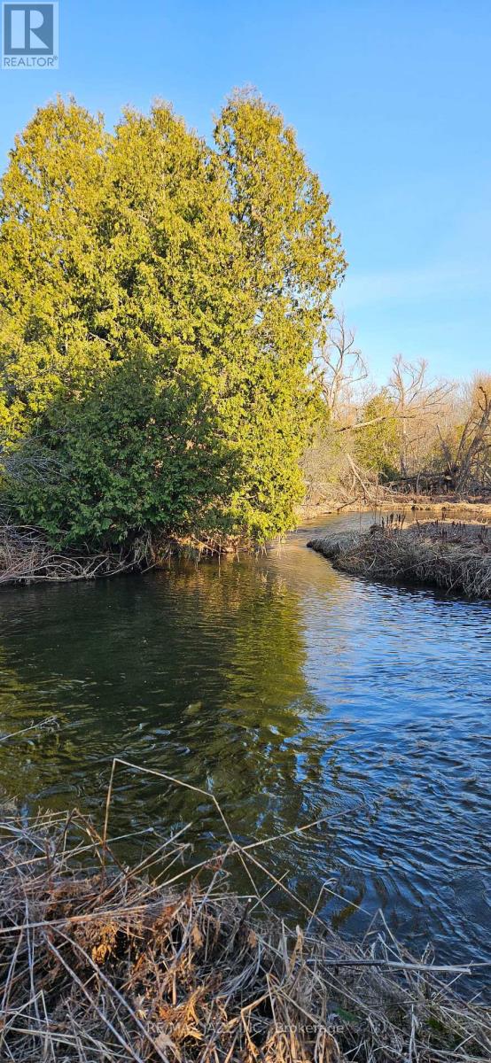 1219 Larmer Line, Cavan Monaghan, Ontario  K0L 1V0 - Photo 5 - X12927966