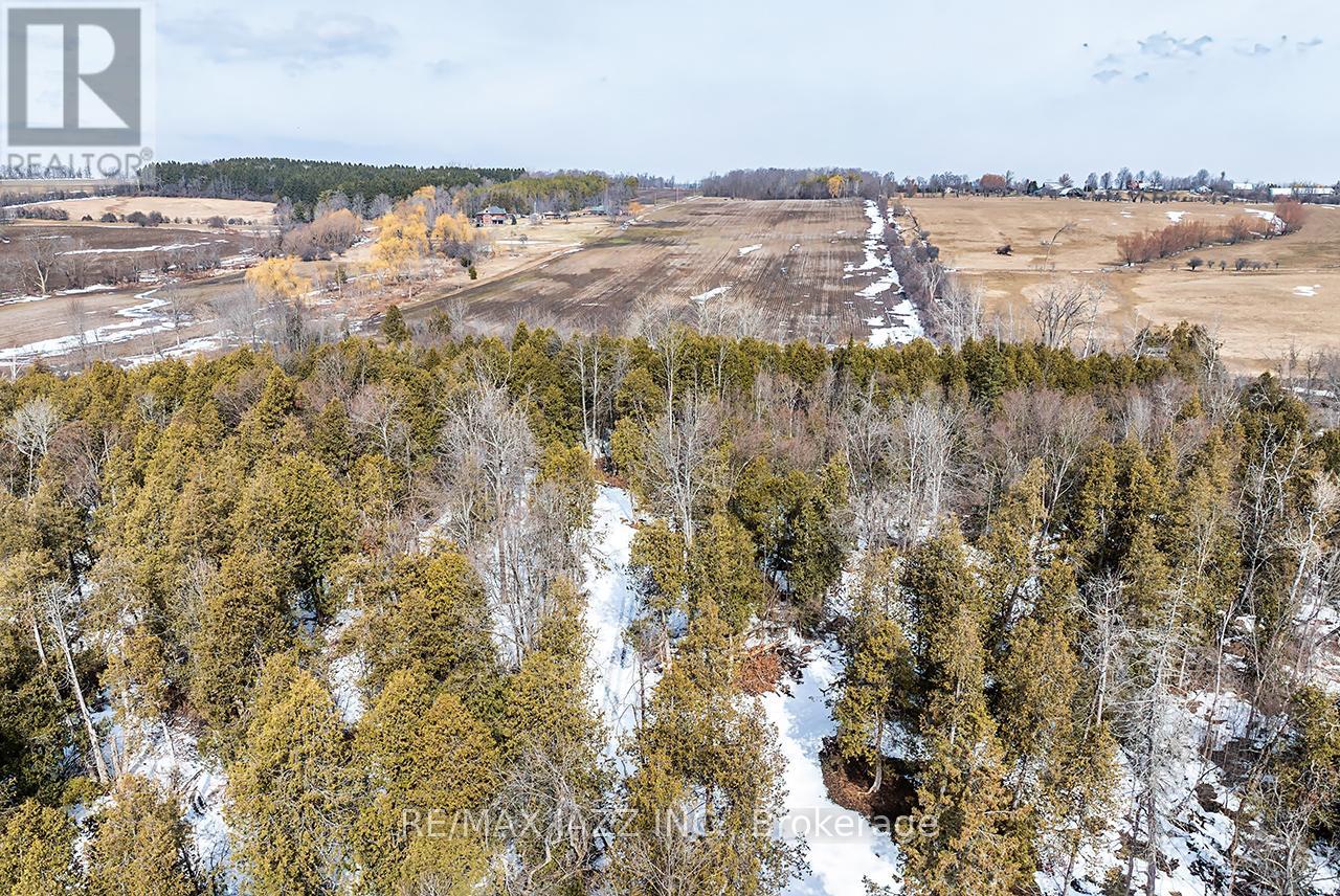 1219 Larmer Line, Cavan Monaghan, Ontario  K0L 1V0 - Photo 45 - X12927966