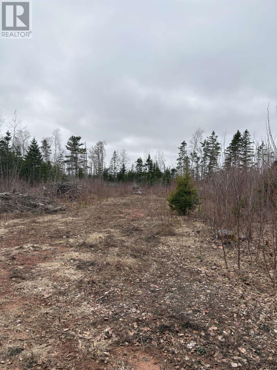 Lot Louis Road, St. Marys Road, Prince Edward Island  C0A 1R0 - Photo 1 - 202607973
