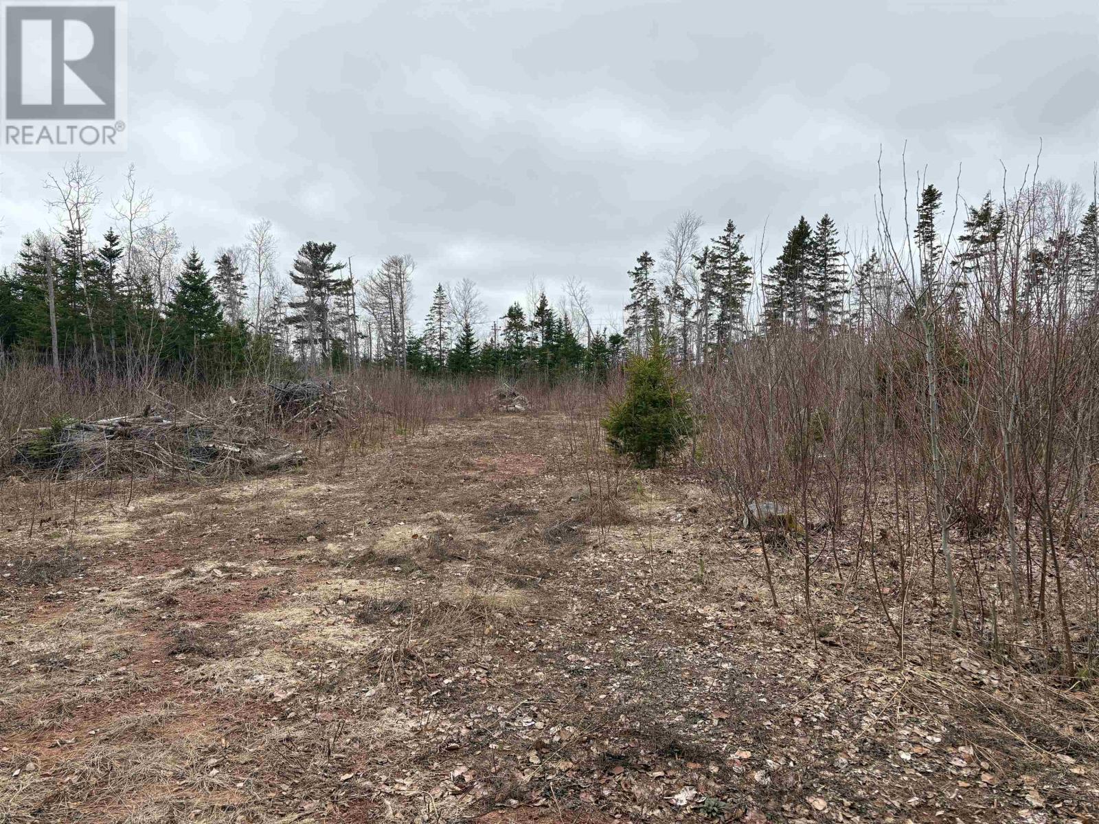 Lot Louis Road, St. Marys Road, Prince Edward Island  C0A 1R0 - Photo 2 - 202607973
