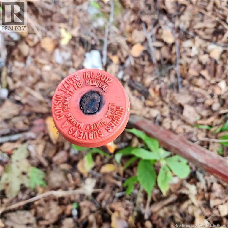 1431 845 Route, Clifton Royal, New Brunswick  E2S 2G4 - Photo 10 - NB111607