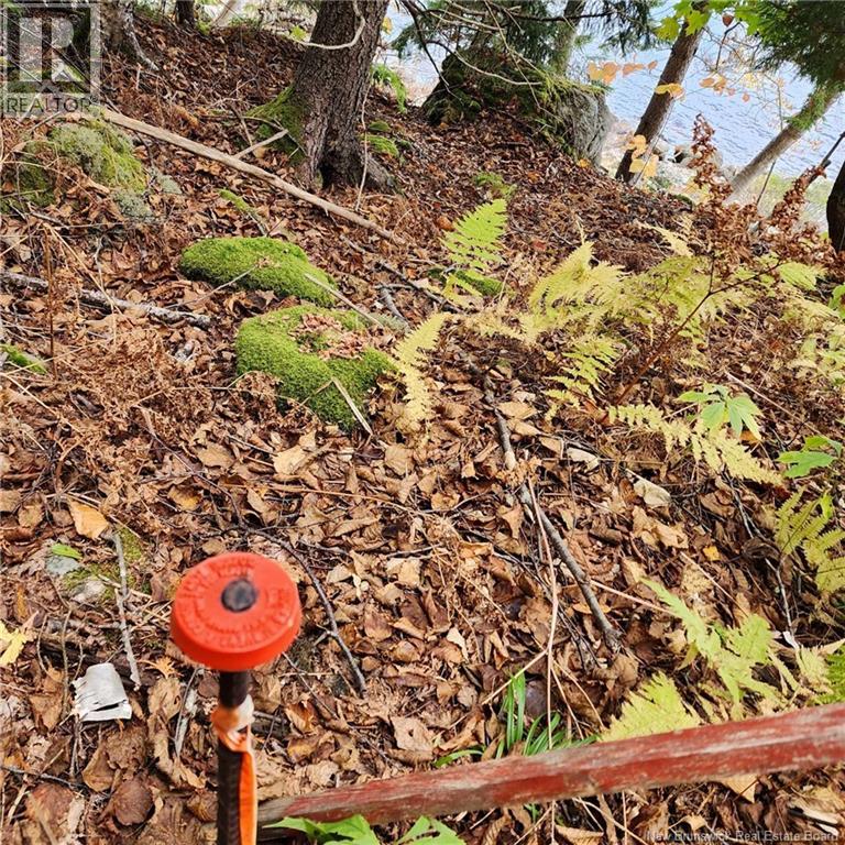 1431 845 Route, Clifton Royal, New Brunswick  E2S 2G4 - Photo 7 - NB111607