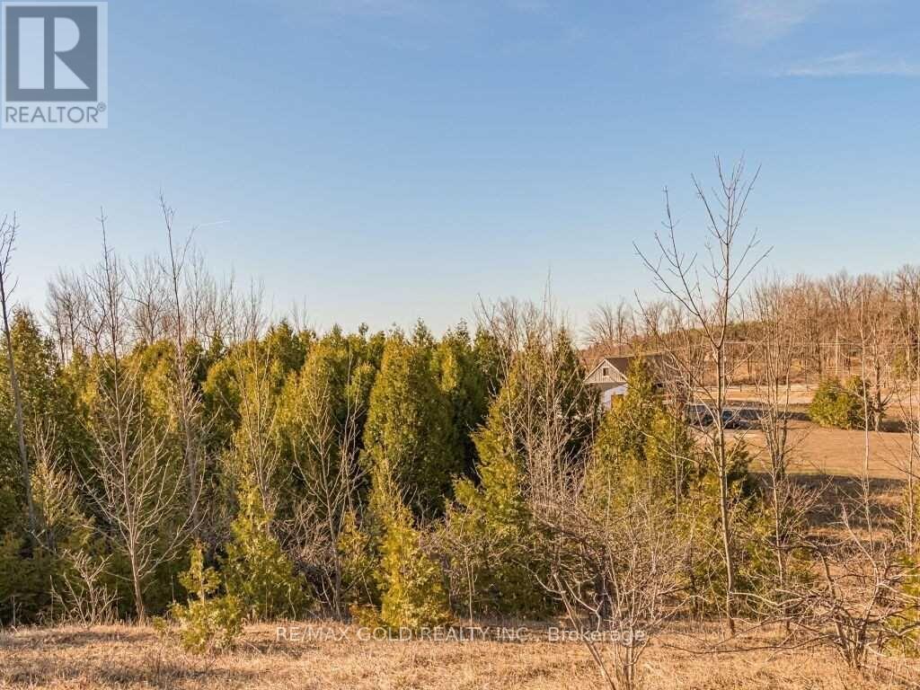 5135 Trafalgar Road, Erin, Ontario  N0B 1T0 - Photo 22 - X13019348