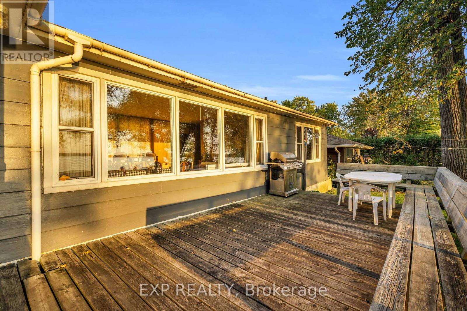 28 Mcrae Beach Road S, Georgina, Ontario  L0E 1L0 - Photo 23 - N12766404