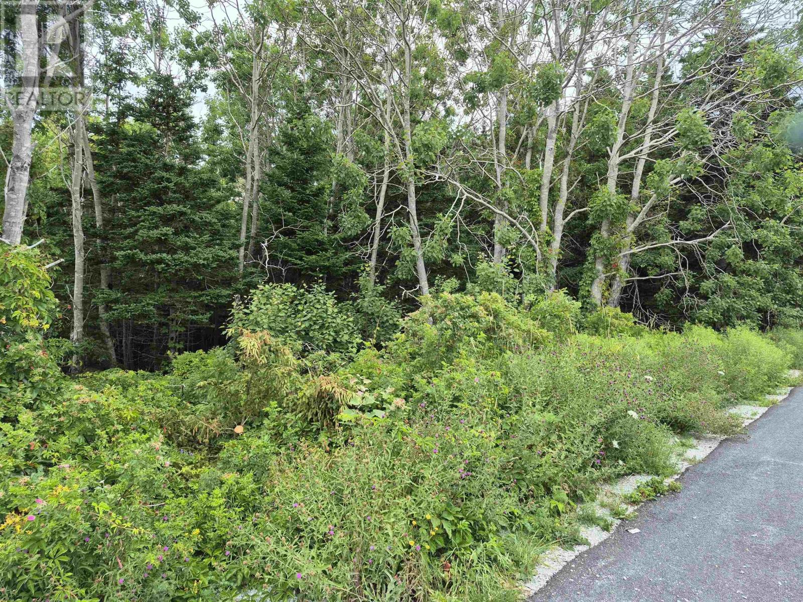 36 Goose View Drive, East Port L'hebert, Nova Scotia  B0T 1S0 - Photo 13 - 202607975