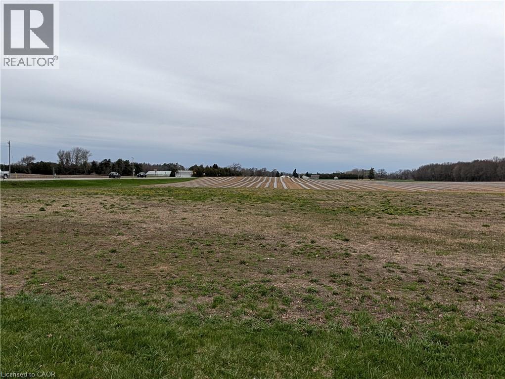 LOT 1 NORFOLK COUNTY RD 21, delhi, Ontario