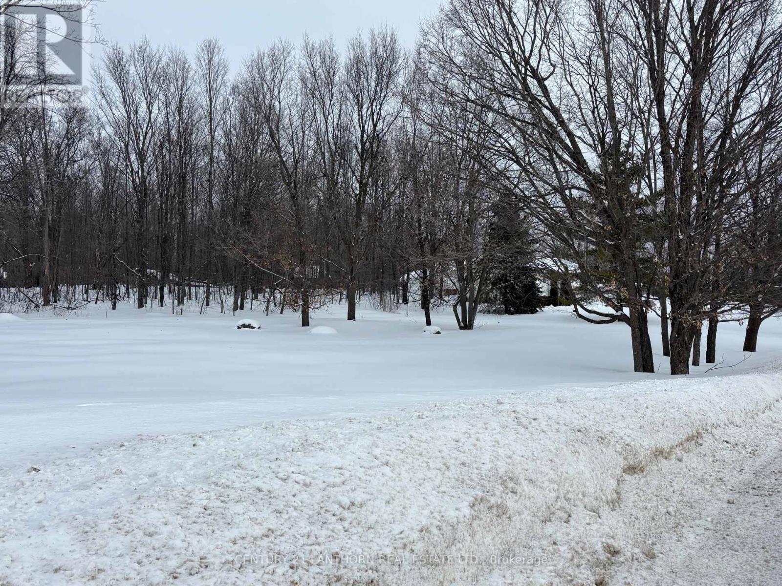 93 Tannery Road, Madoc, Ontario  K0K 2K0 - Photo 43 - X12786930