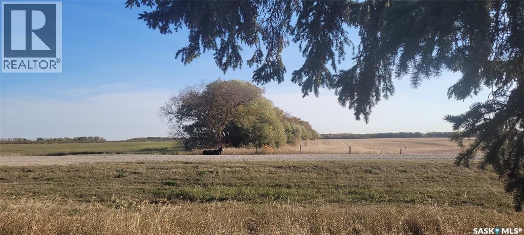 Duck Lake Acreage Land, Duck Lake Rm No. 463, Saskatchewan  S0K 1J0 - Photo 8 - SK033399