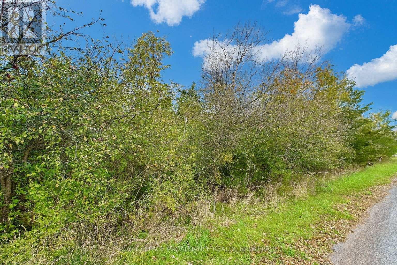 Lot 15 Martin Drive, Stone Mills, Ontario  K0K 2S0 - Photo 3 - X12661208