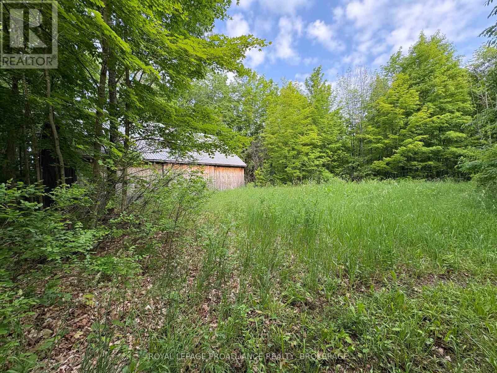 Lot 3 Jamieson Road, Frontenac, Ontario  K0H 1V0 - Photo 12 - X12787794