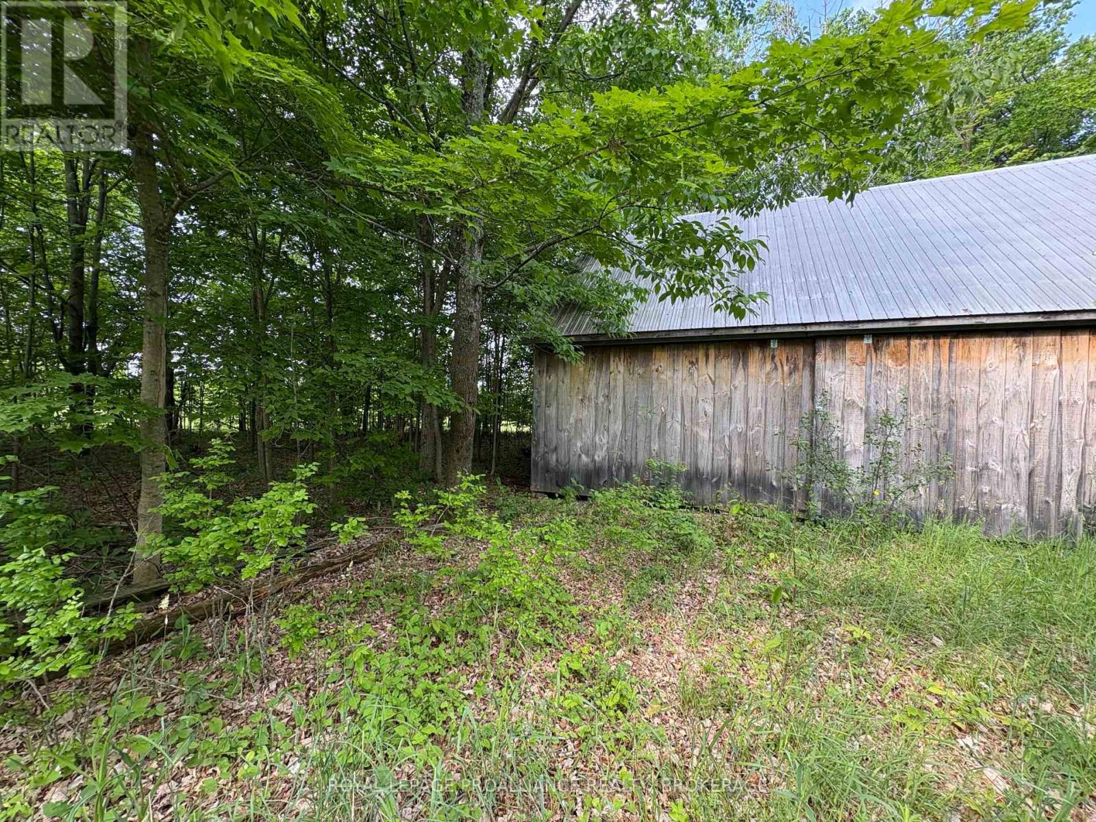 Lot 3 Jamieson Road, Frontenac, Ontario  K0H 1V0 - Photo 10 - X12787794