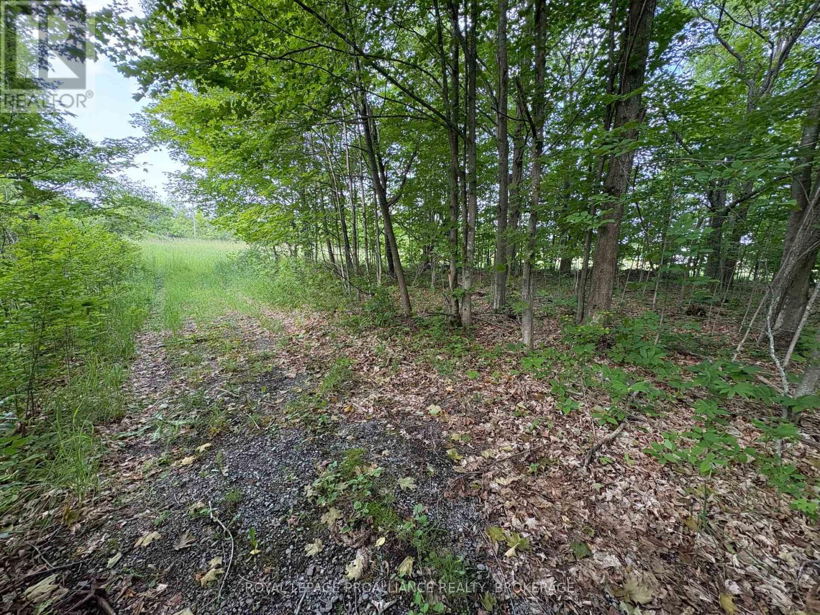 Lot 3 Jamieson Road, Frontenac, Ontario  K0H 1V0 - Photo 13 - X12787794