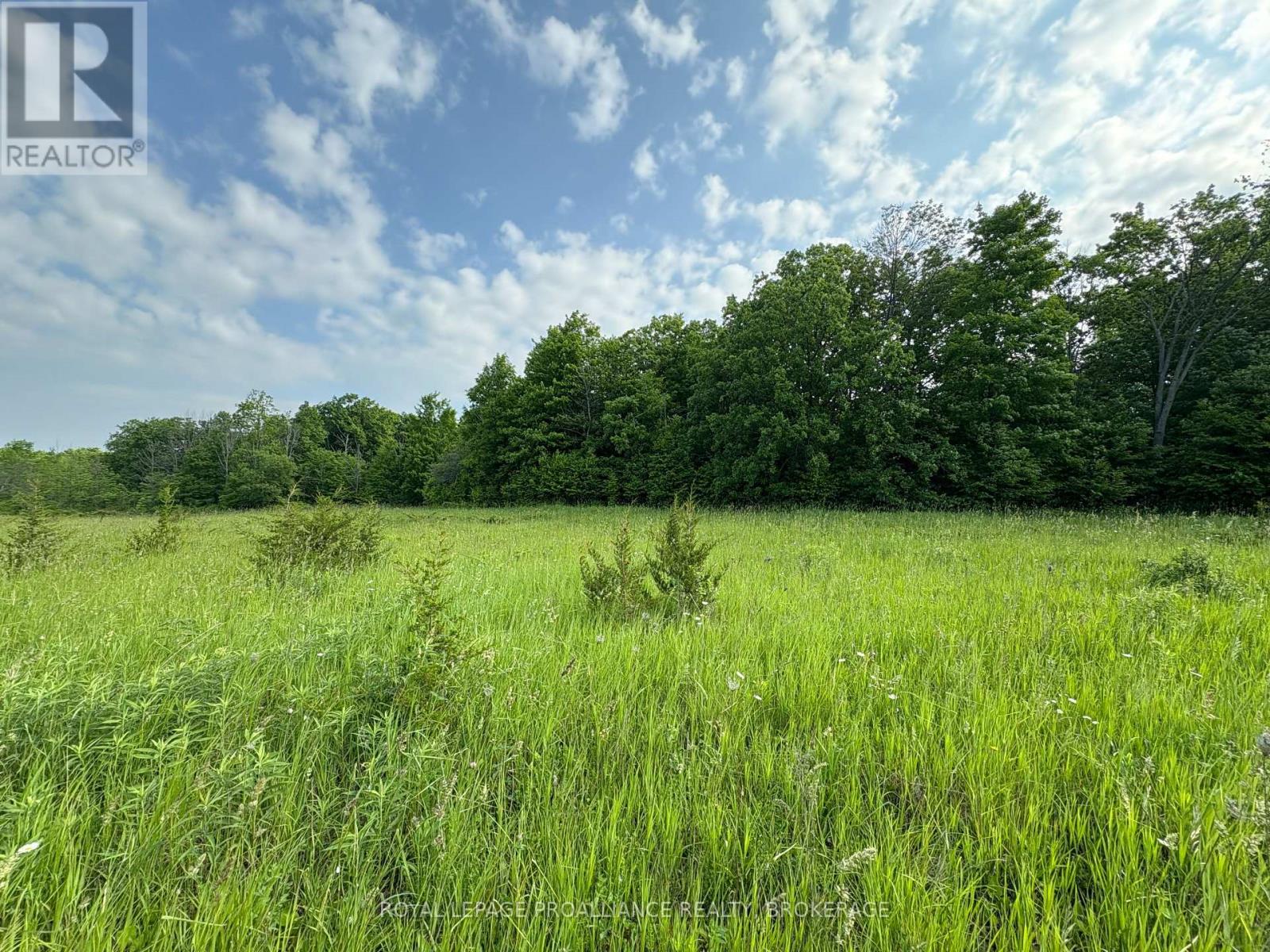 Lot 3 Jamieson Road, Frontenac, Ontario  K0H 1V0 - Photo 17 - X12787794