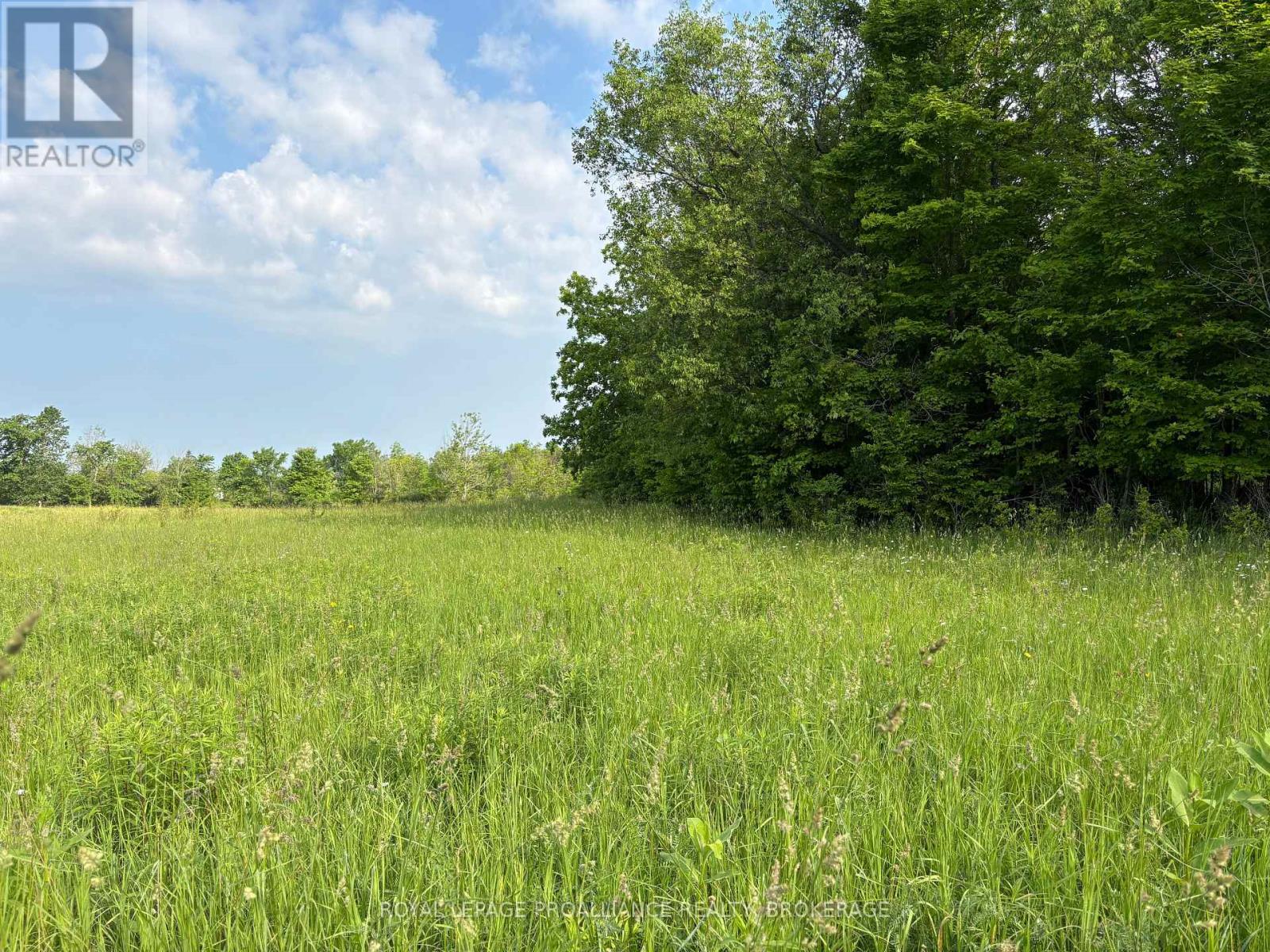 Lot 3 Jamieson Road, Frontenac, Ontario  K0H 1V0 - Photo 15 - X12787794
